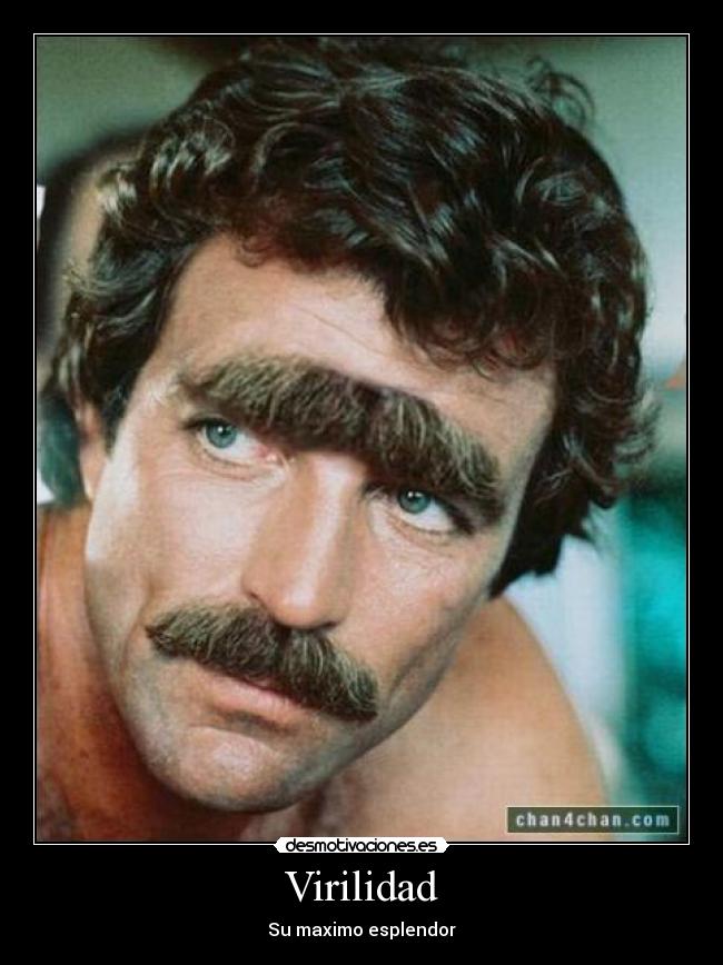 Virilidad - Su maximo esplendor