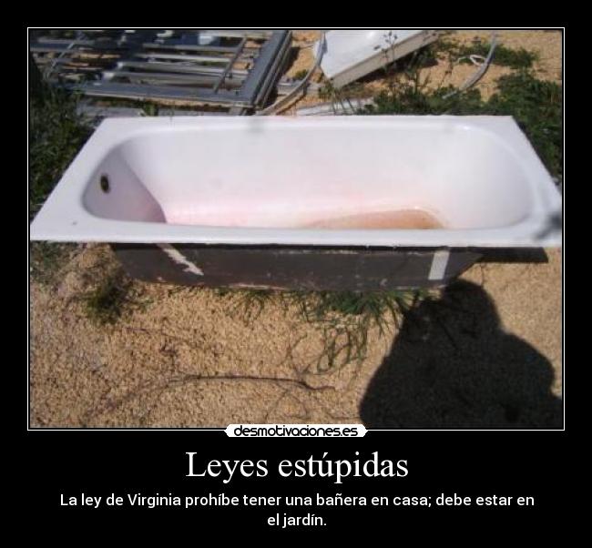 Leyes estúpidas - 