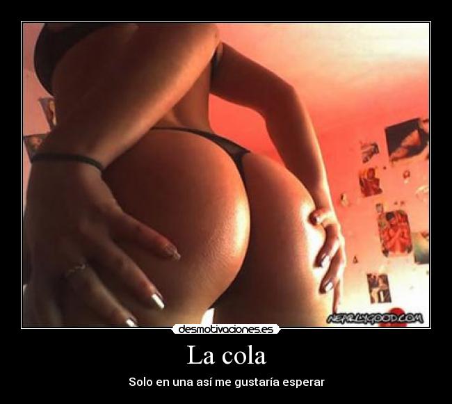 La cola -