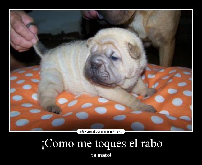 ¡Como me toques el rabo -
