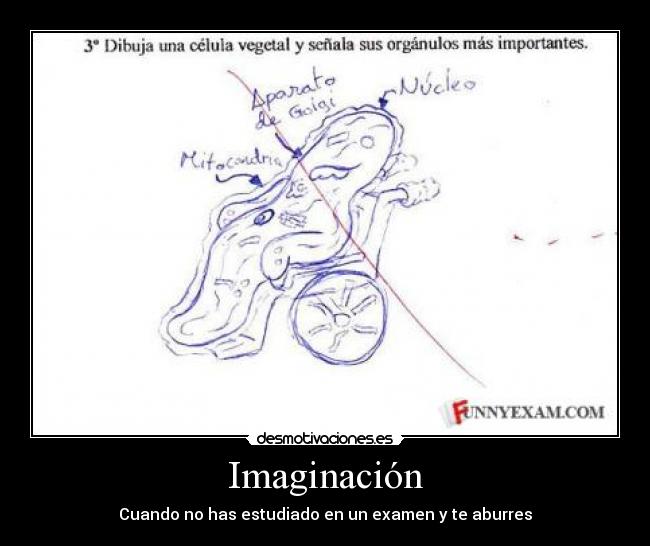 Imaginación -
