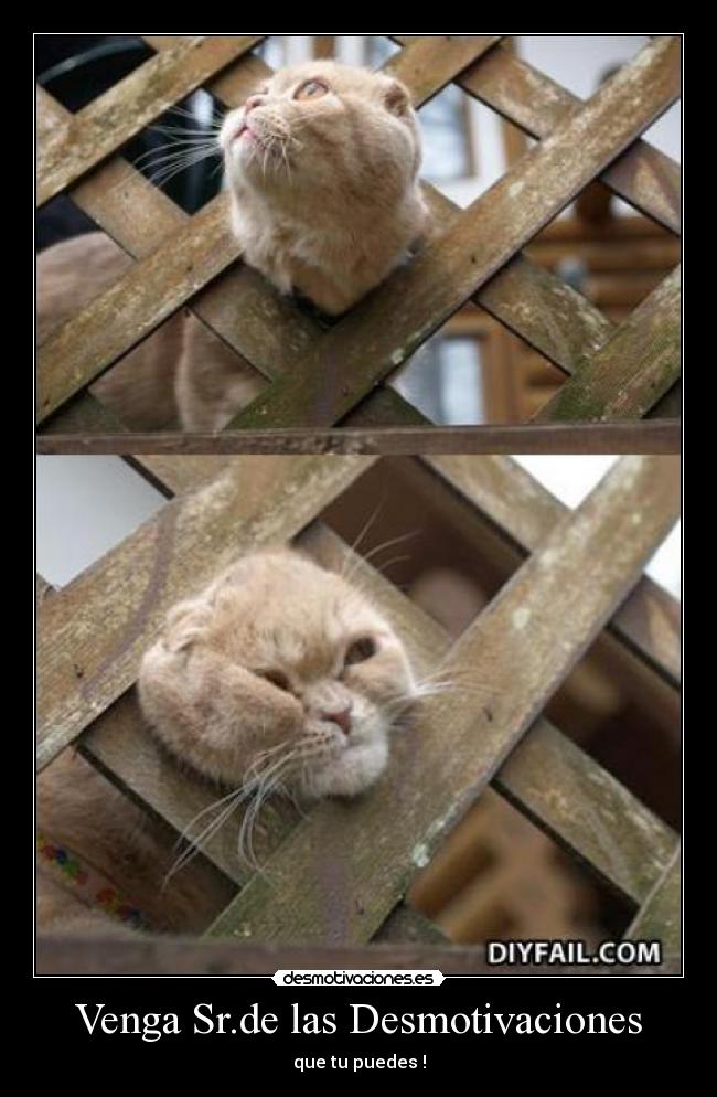 Venga Sr.de las Desmotivaciones -