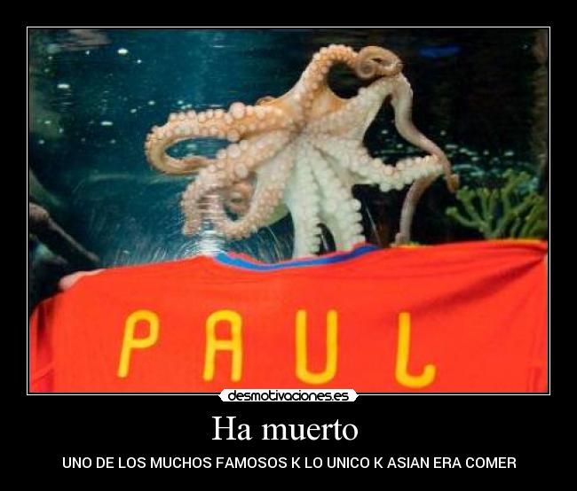 Ha muerto - UNO DE LOS MUCHOS FAMOSOS K LO UNICO K ASIAN ERA COMER