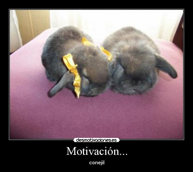 Motivación... - conejil