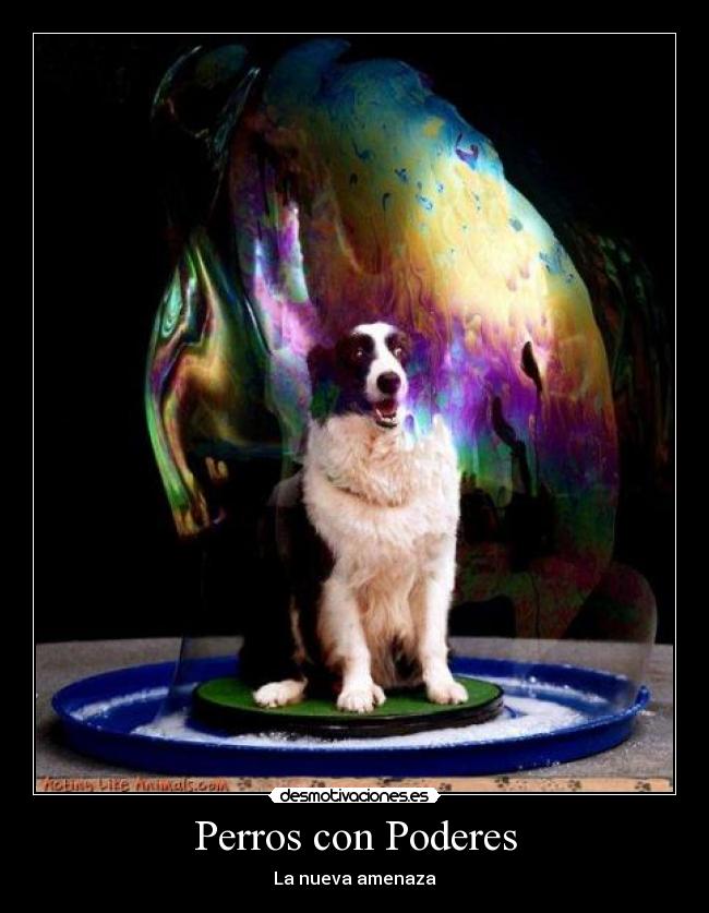 carteles perros desmotivaciones