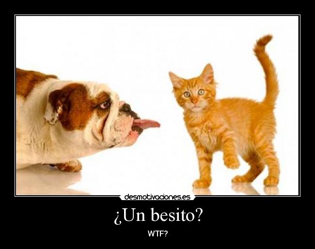 ¿Un besito? - WTF?