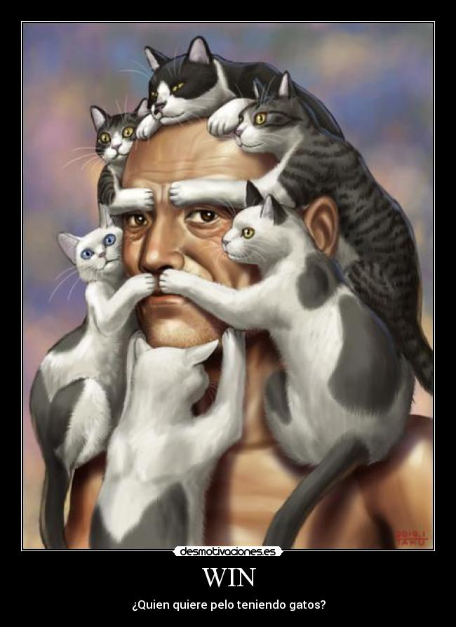 carteles gatoswin desmotivaciones
