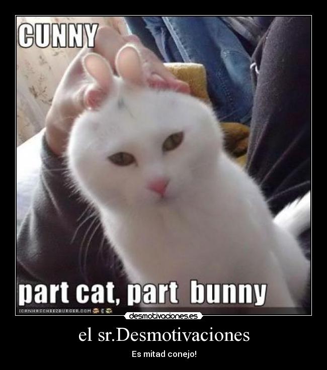 el sr.Desmotivaciones - 