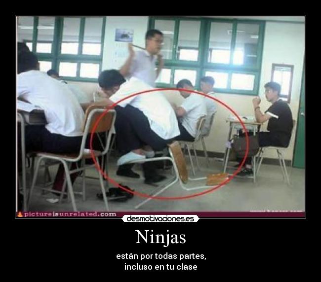 Ninjas - 