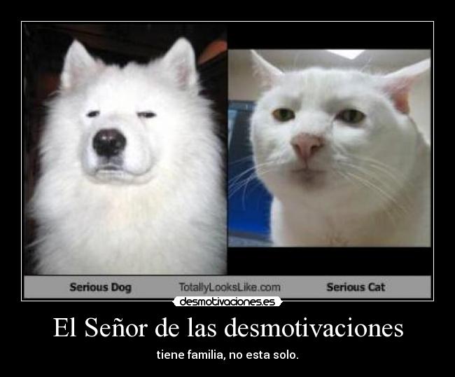 El Señor de las desmotivaciones - tiene familia, no esta solo.