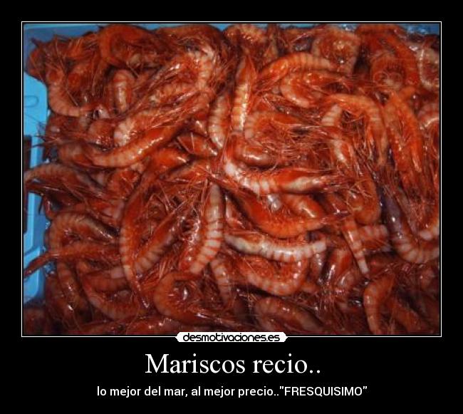 Mariscos recio.. - lo mejor del mar, al mejor precio..FRESQUISIMO