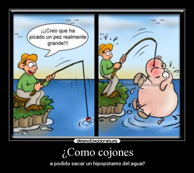 carteles hipopotamo pesca agua desmotivaciones