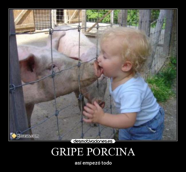 GRIPE PORCINA - así empezó todo