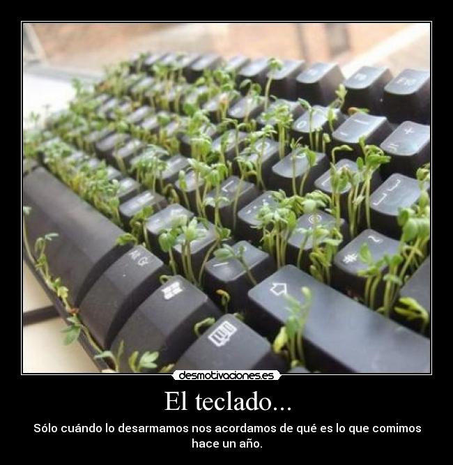 El teclado... - Sólo cuándo lo desarmamos nos acordamos de qué es lo que comimos hace un año.