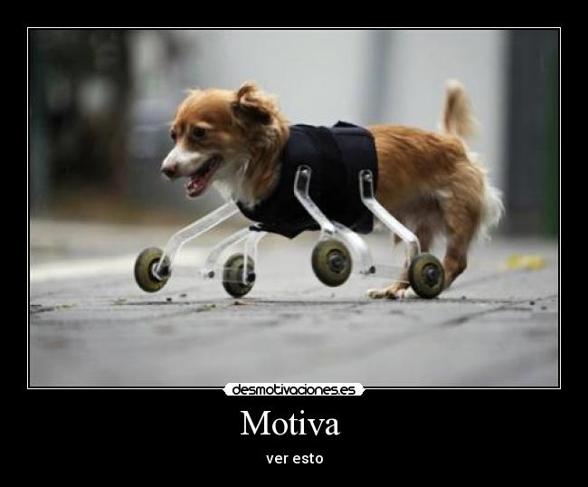 Motiva - ver esto