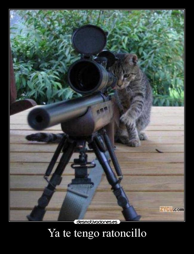 Ya te tengo ratoncillo -