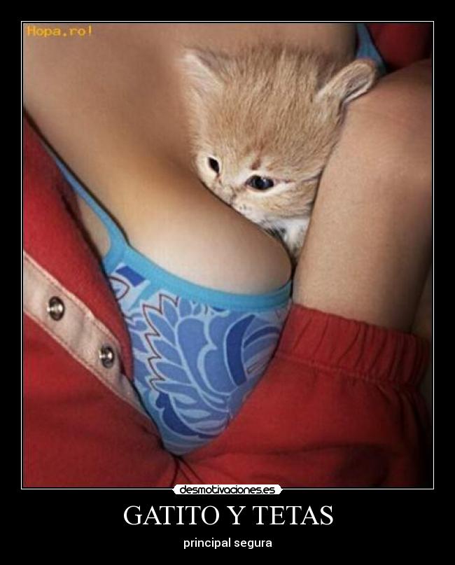 GATITO Y TETAS - 