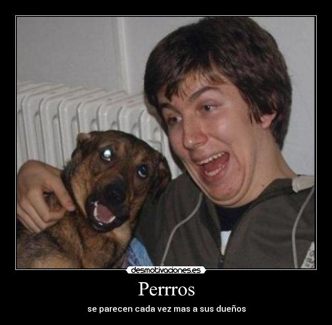 Perrros -