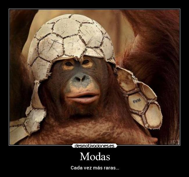 Modas - Cada vez más raras...