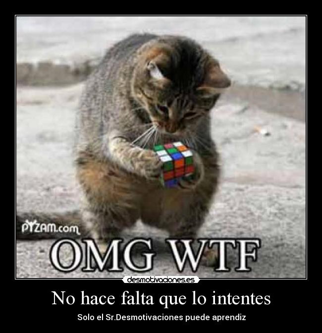 No hace falta que lo intentes - Solo el Sr.Desmotivaciones puede aprendiz
