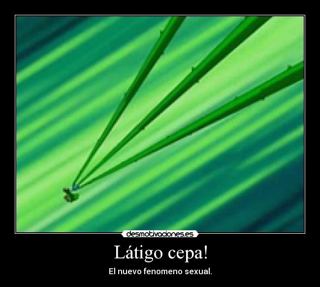 Látigo cepa! - El nuevo fenomeno sexual.