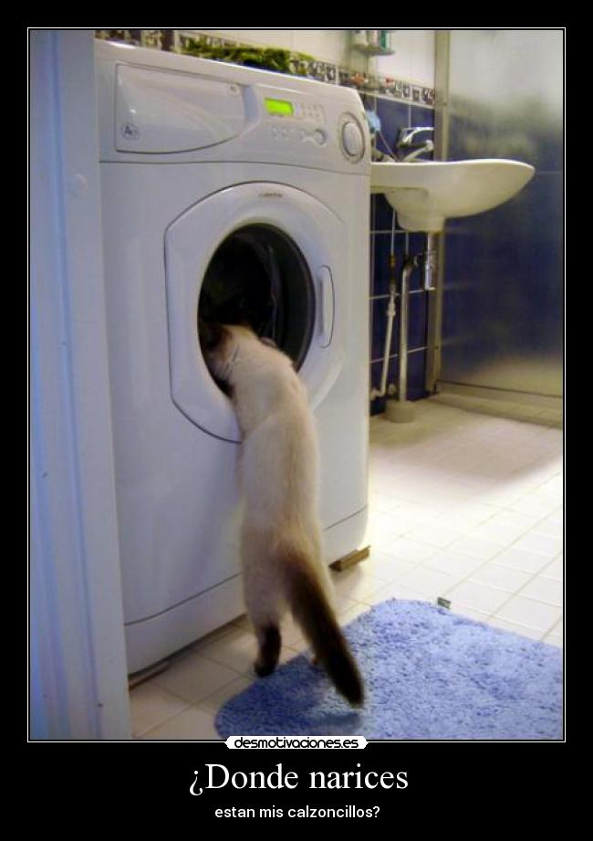 ¿Donde narices - estan mis calzoncillos?