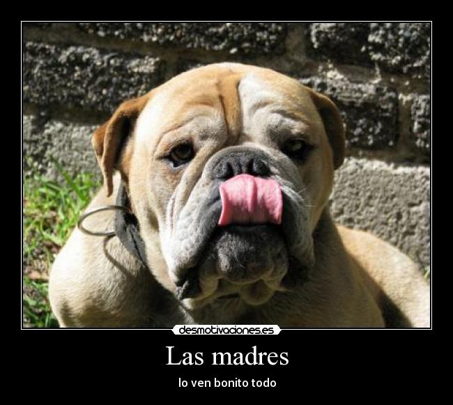 Las madres - lo ven bonito todo