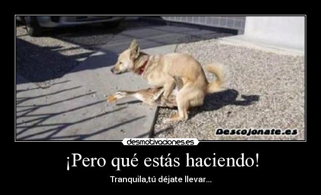 ¡Pero qué estás haciendo! - Tranquila,tú déjate llevar...