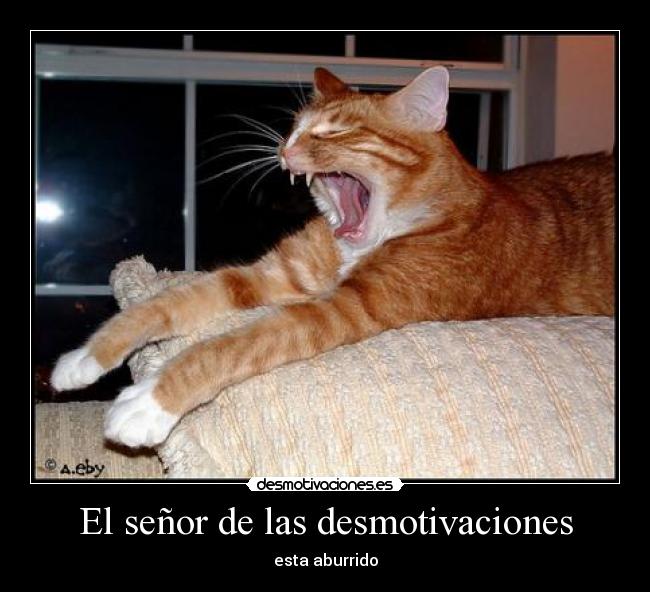 El señor de las desmotivaciones - 