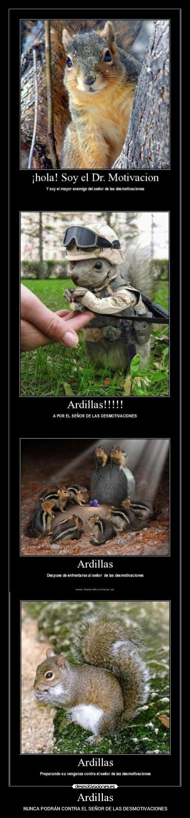 carteles drmotivacion ardillas desmotivaciones