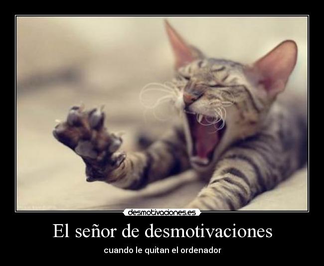 El señor de desmotivaciones -