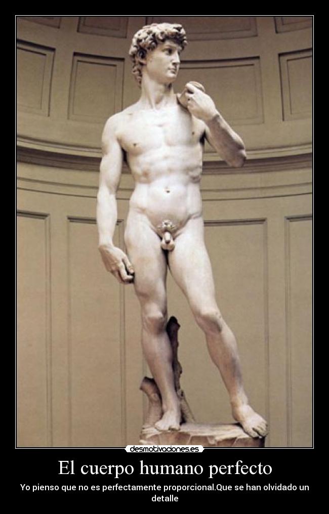 El cuerpo humano perfecto - Yo pienso que no es perfectamente proporcional.Que se han olvidado un detalle