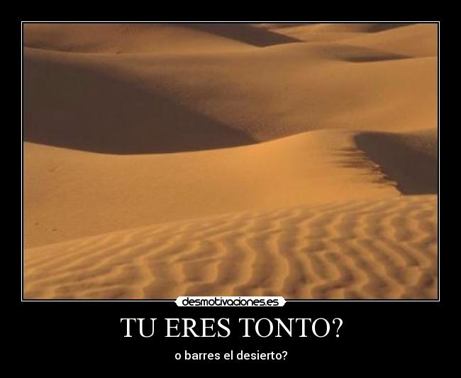 TU ERES TONTO? - o barres el desierto?