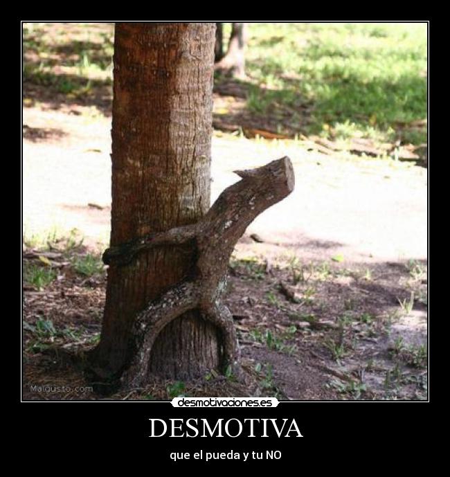 DESMOTIVA - 