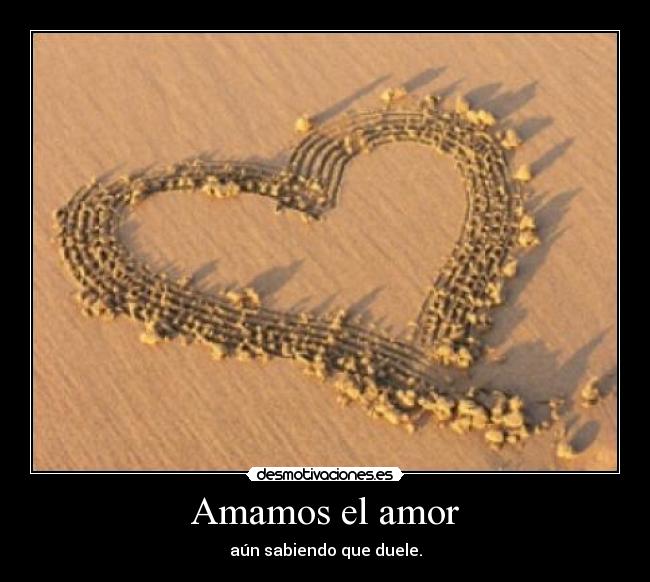 Amamos el amor - aún sabiendo que duele.