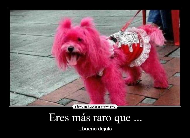 Eres más raro que ... - ... bueno dejalo 