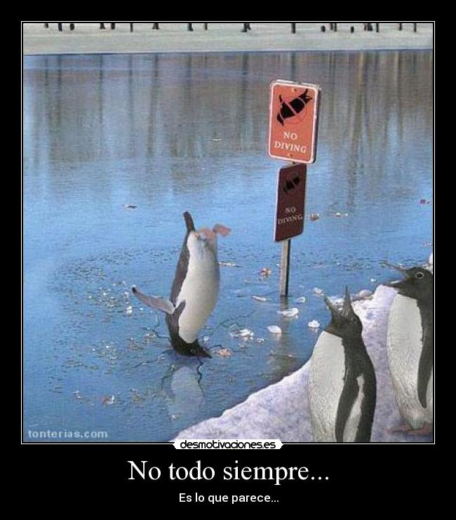 carteles humorrisasdesmotivacioncaida desmotivaciones