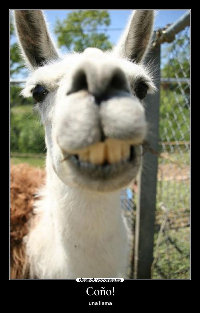 Coño! - una llama