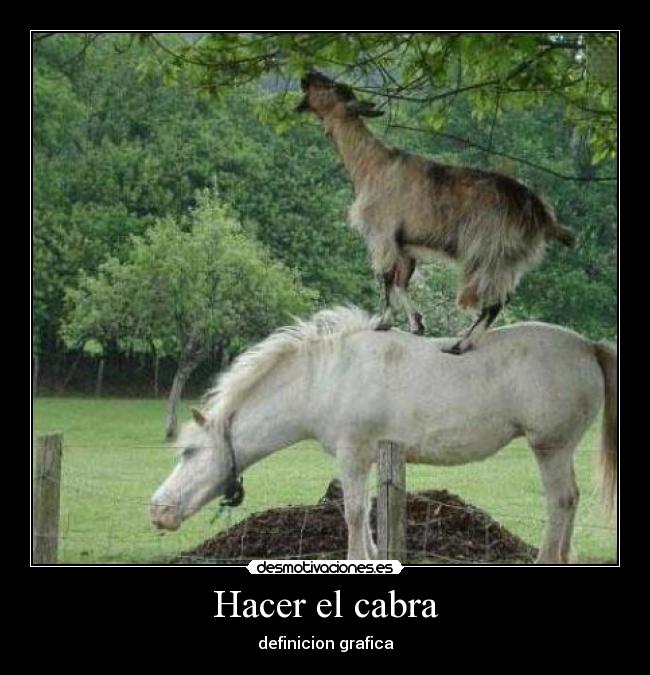 Hacer el cabra -