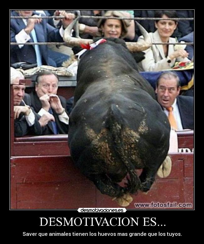 DESMOTIVACION ES... - Saver que animales tienen los huevos mas grande que los tuyos.