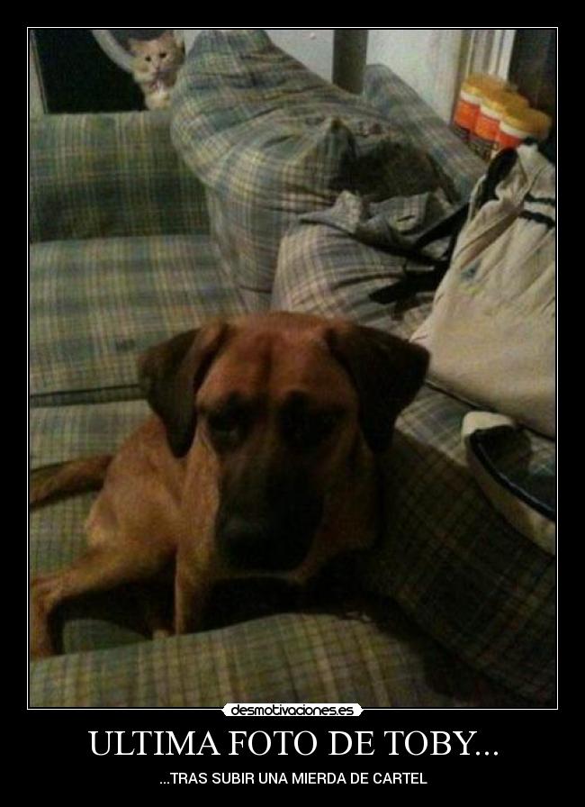 ULTIMA FOTO DE TOBY... -
