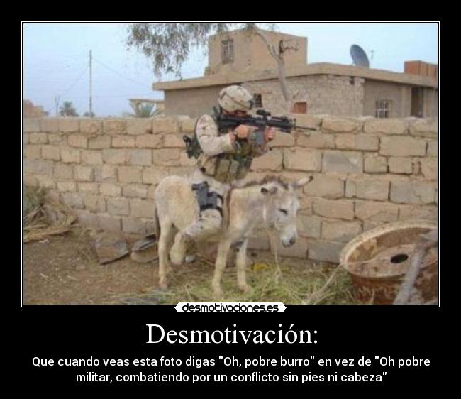 Desmotivación: - Que cuando veas esta foto digas Oh, pobre burro en vez de Oh pobre
militar, combatiendo por un conflicto sin pies ni cabeza