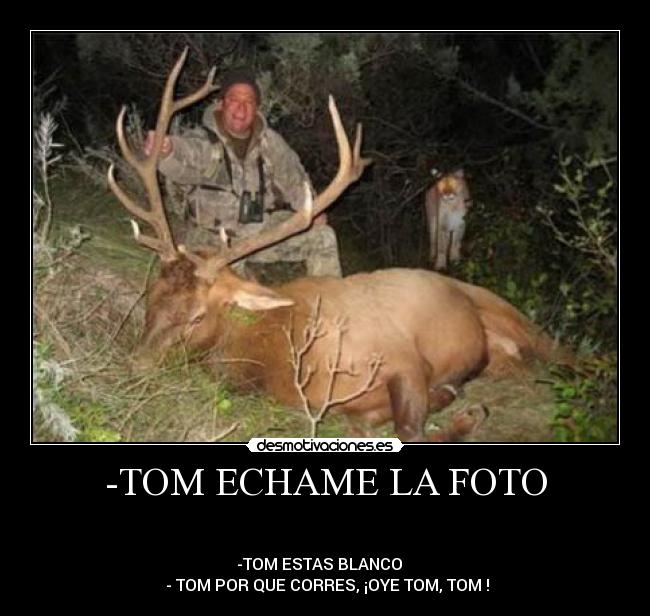 -TOM ECHAME LA FOTO - 