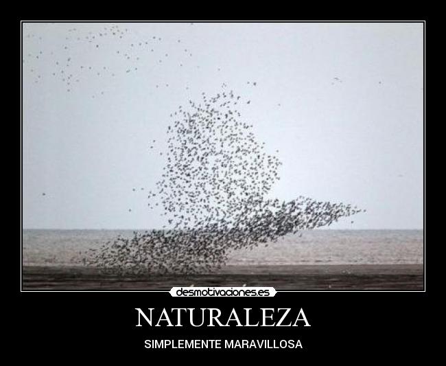 NATURALEZA - SIMPLEMENTE MARAVILLOSA