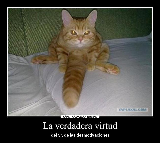 La verdadera virtud - del Sr. de las desmotivaciones