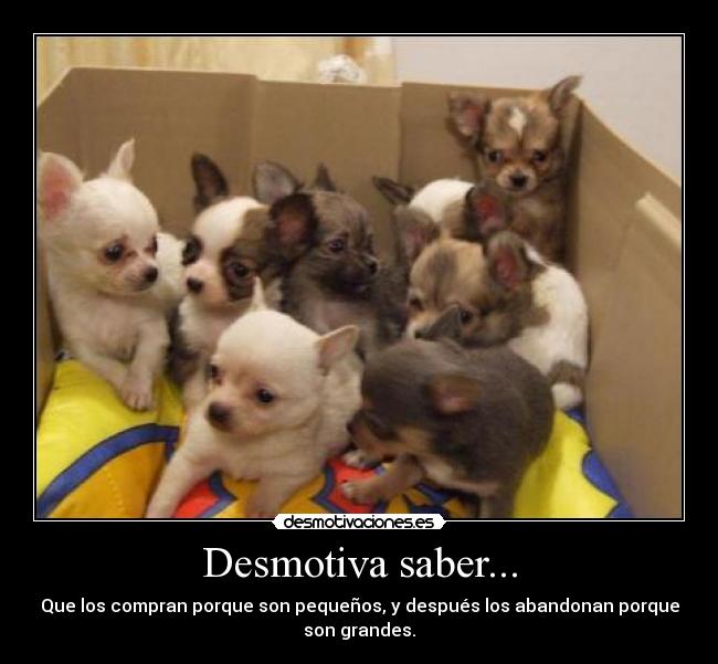 Desmotiva saber... - 