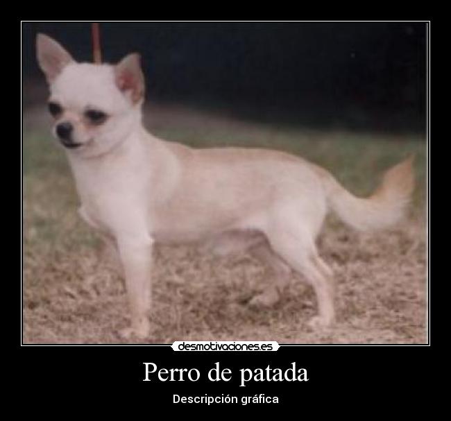 Perro de patada - Descripción gráfica