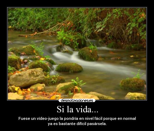 carteles vida vida desmotivaciones