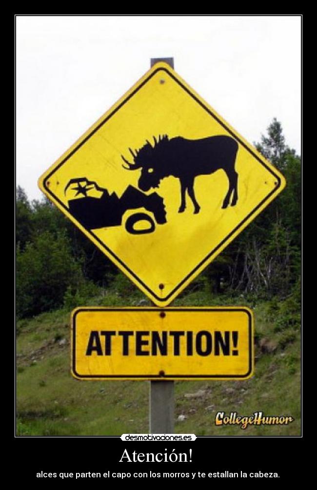 Atención!  - 