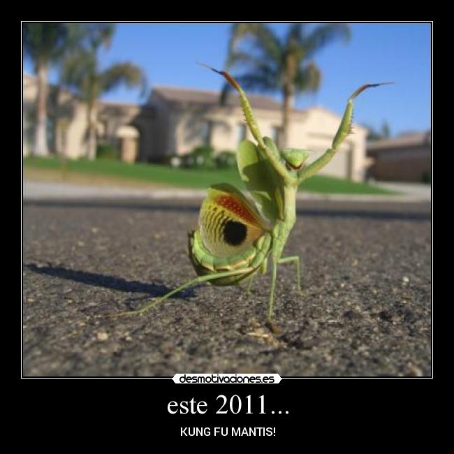 este 2011... - KUNG FU MANTIS!
